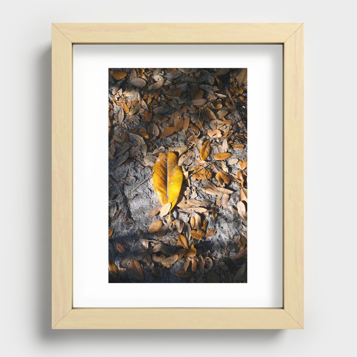 Evening Leaves Fallen on the Path . . .  Recessed Framed Print
