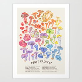Wild Mushroom Rainbow - Neutral Art Print