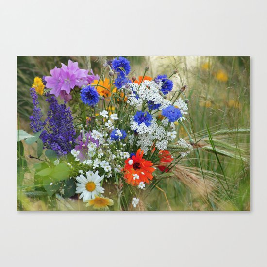 Wildflowers in a summer meadow Canvas Print