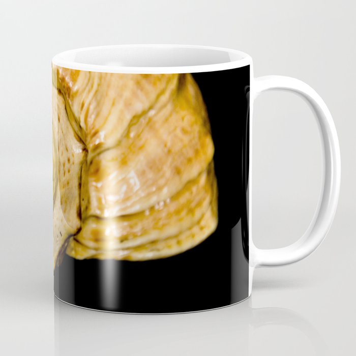shell Coffee Mug