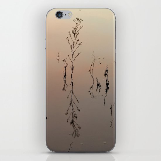 Graphics in the wild nature iPhone & iPod Skin