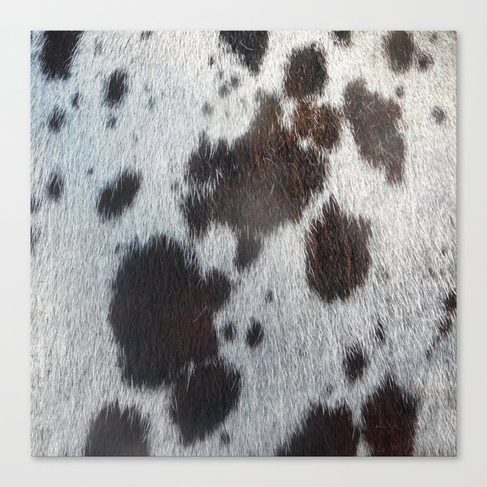Brown and White Cow Skin Print Pattern Modern, Cowhide Faux Leather Canvas Print
