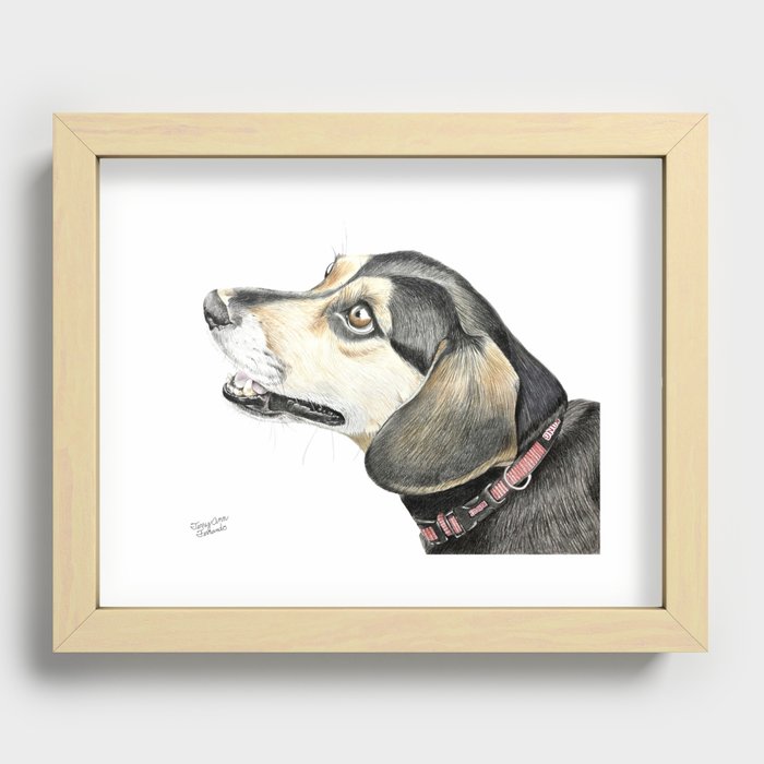 Beagle Drawing Recessed Framed Print