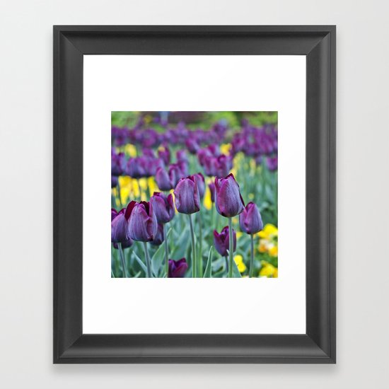 morados Framed Art Print