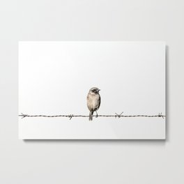 Hanging in the wire Metal Print | Animal, Nature, Photo 