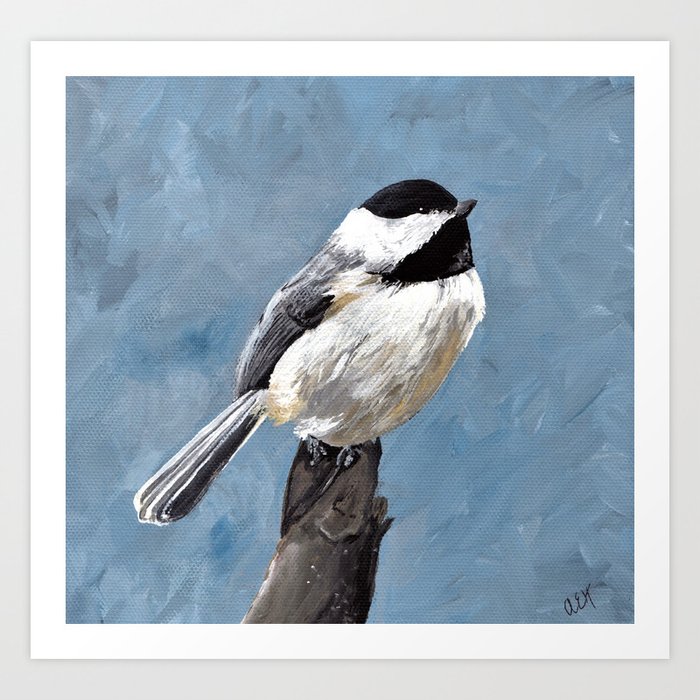 Chickadee Original Acrylic Art On Canvas Bird Painting Chickadee