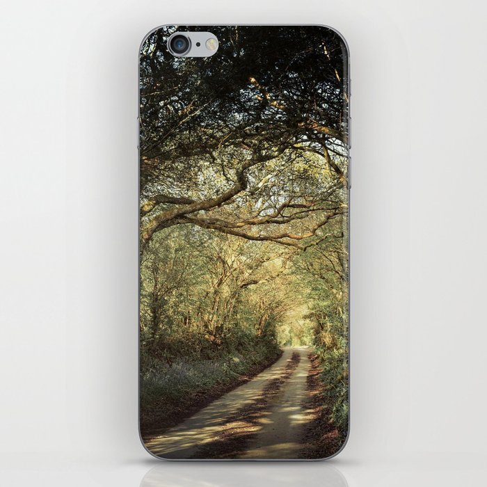 Great Britain Photography - Small Road In The British Forest iPhone Skin