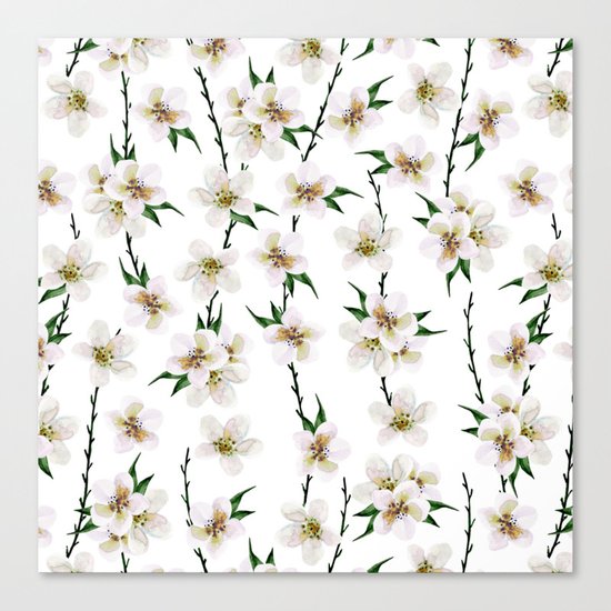 White flowers Canvas Print