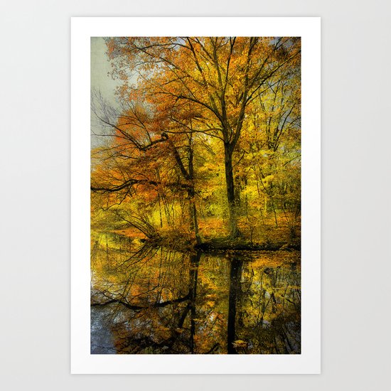 Fall colors of New England Art Print