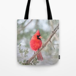 Winter's End Cardinal Tote Bag
