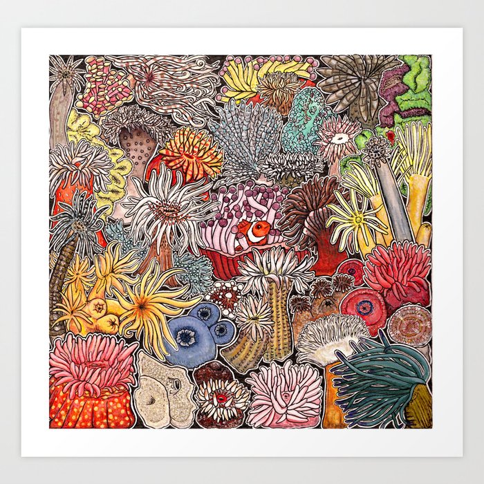 Clown fish and Sea anemones Art Print