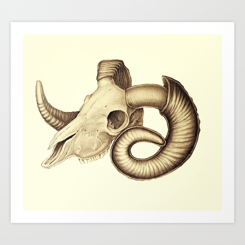 The Goat Skull Art Print By Indriana Society6