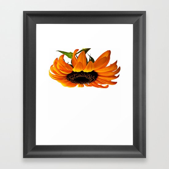 FLOWER 032 Framed Art Print