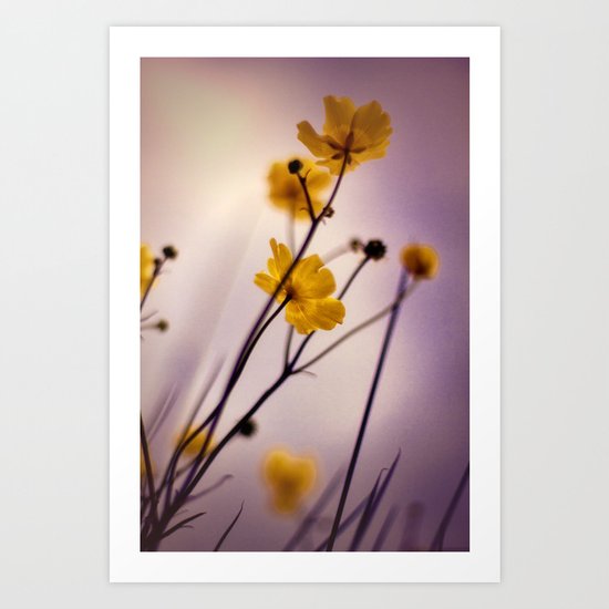 Buttercups Art Print