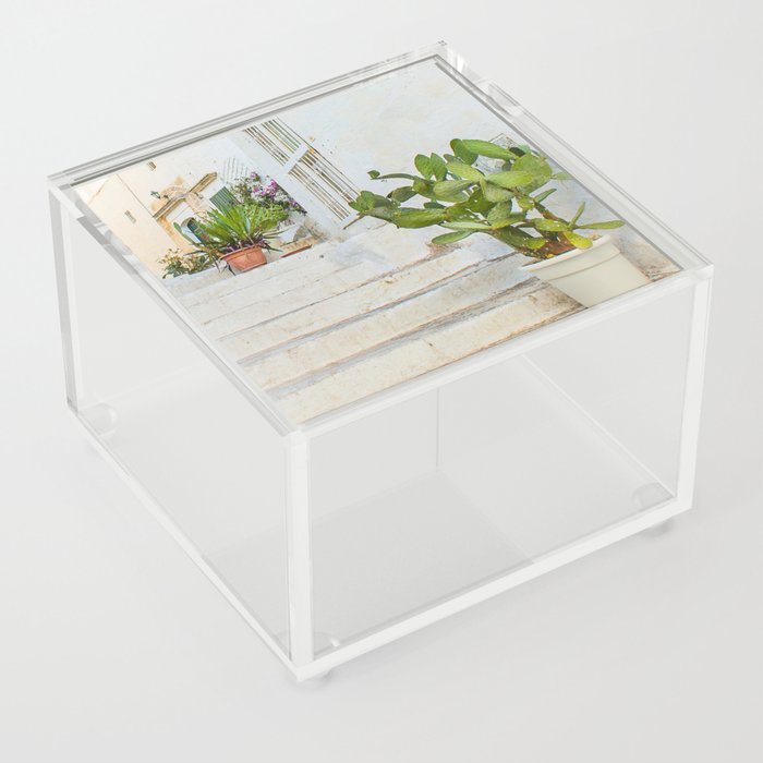 Cacti Acrylic Box