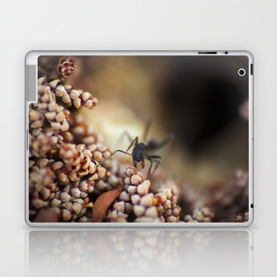 Ant first person Laptop & iPad Skin