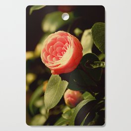 Pink camellia japonica flower | Japanese rose in a sunny day Cutting Board