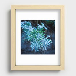 Icy Drops Recessed Framed Print
