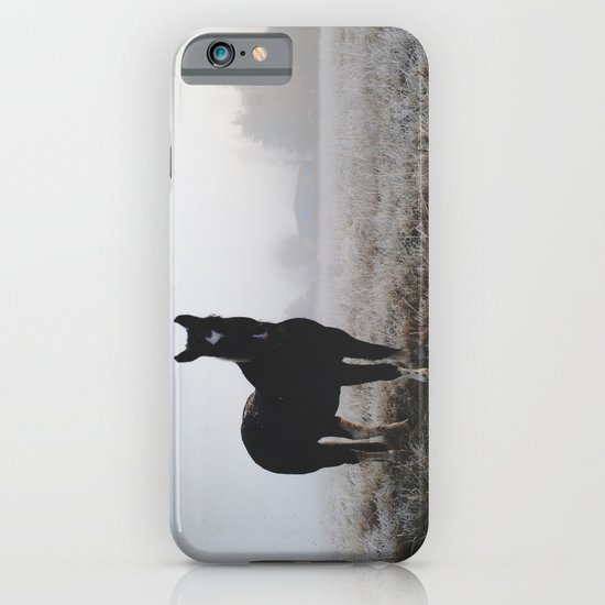 Frosty Klamath Horse iPhone & iPod Case