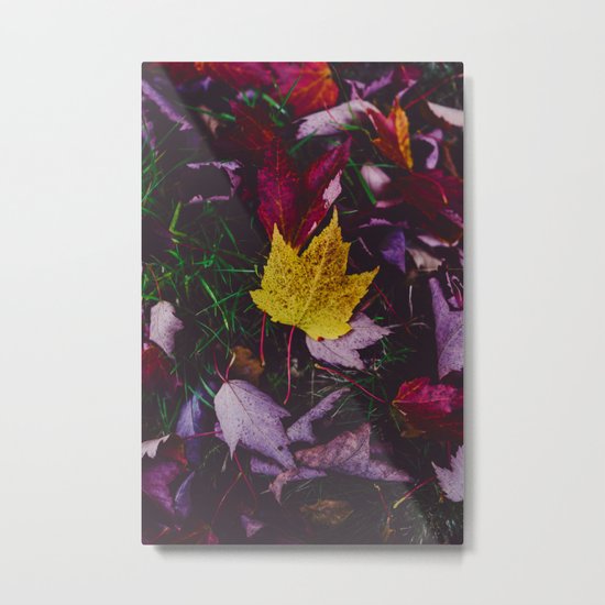 Autumnal Metal Print