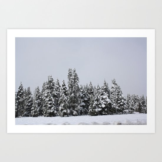 White Forest Art Print