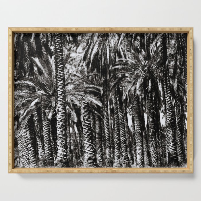 Palm Trees-B&W Serving Tray