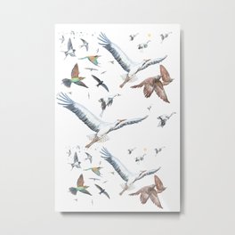 Migratory Birds - Bird migration Illustration Metal Print | Storks, Flying, Birds, Swallows, Wildlife, Wild, Nature, Cuckoo, Wings, Free 