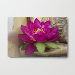 Lotus Metal Print | Buddha, Color, Lotus, Buddhist, Photo, Buddhism, Digital 