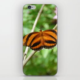 Brazil Photography - The Dryadula Phaetusa Butterfly iPhone Skin