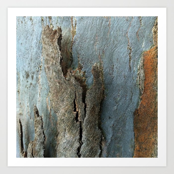 Eucalyptus Tree Bark And Wood Texture 17 Art Print By Annaki