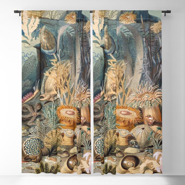 Ocean Life by James M Sommerville 1859 Funky Quirky Cute Cozy Boho Maximalism Maximalist Blackout Curtain