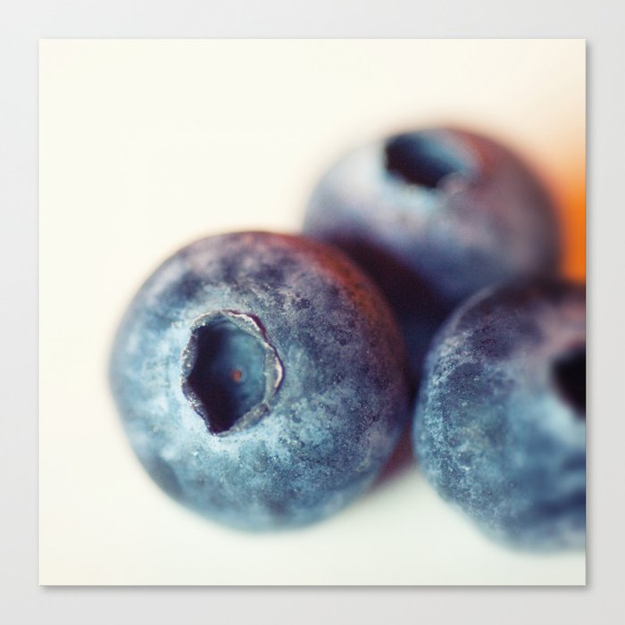 blueberry Canvas Print