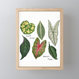 Take Your Sweet Time with Plant Leaves Framed Mini Art Print
