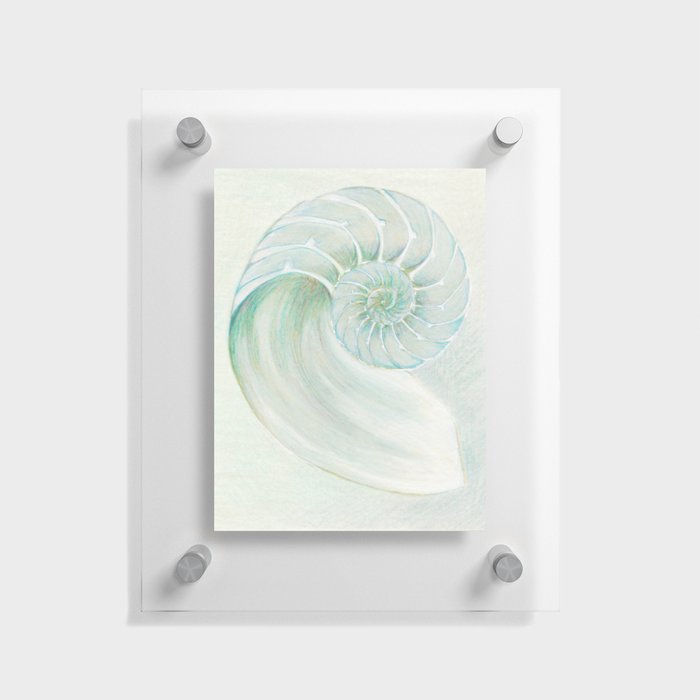 Green Nautilus I Floating Acrylic Print