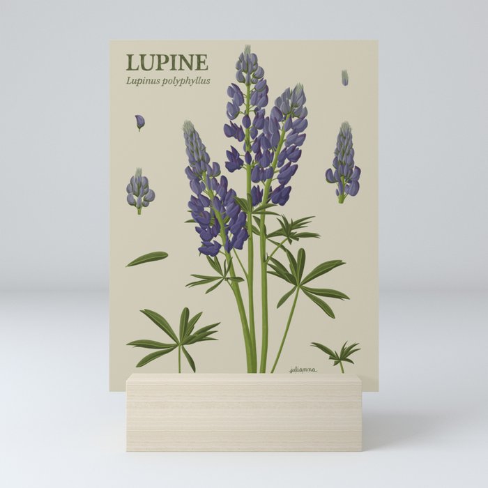 Botanical Lupine Mini Art Print