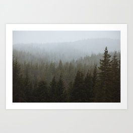 Snowy Forks Forest Art Print