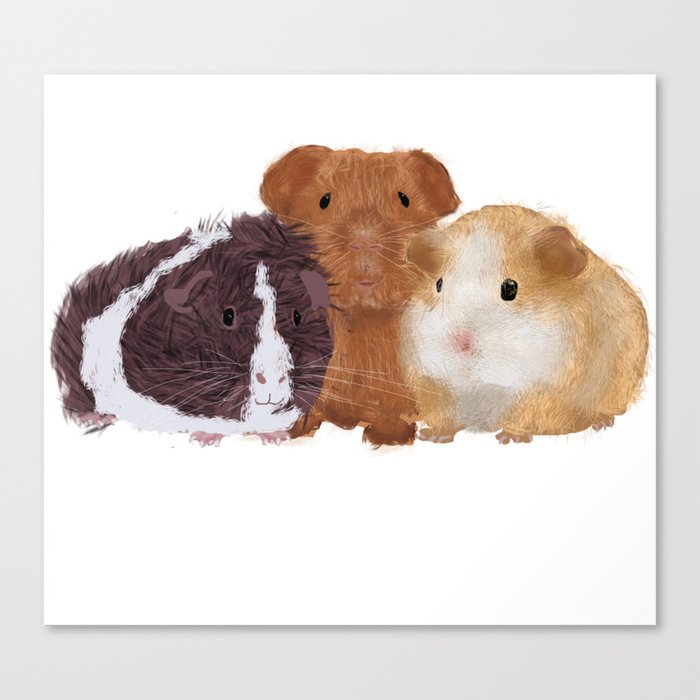 Canvas Print
