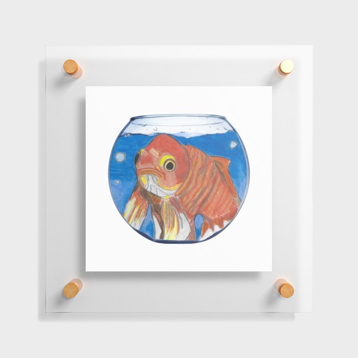 Gertrude the Goldfish in a Fishbowl  Floating Acrylic Print