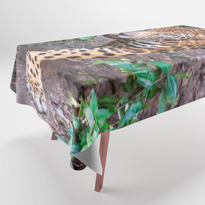 Jungle walking jaguar, Guatemala Tablecloth