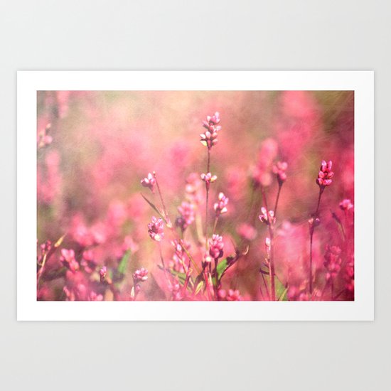 It's a Sweet, Sweet Life Art Print