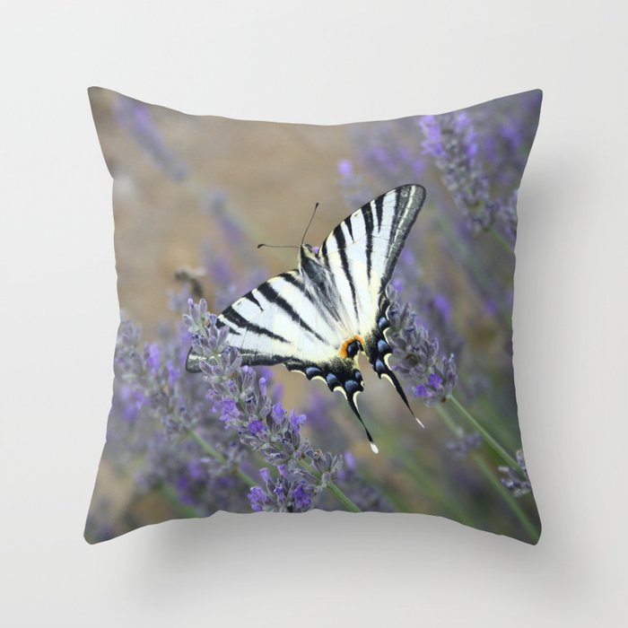 Lavender Flowers And A Beautiful Butterfly Photograph Throw Pillow
