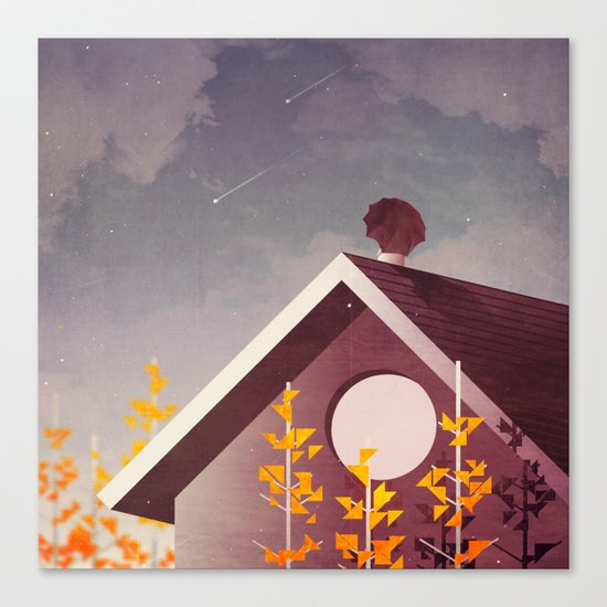 Shooting Stars Canvas Print
