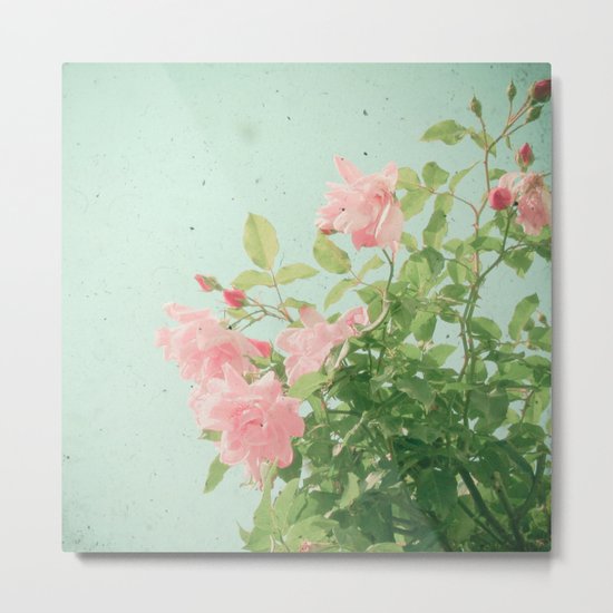 Pink Roses Metal Print