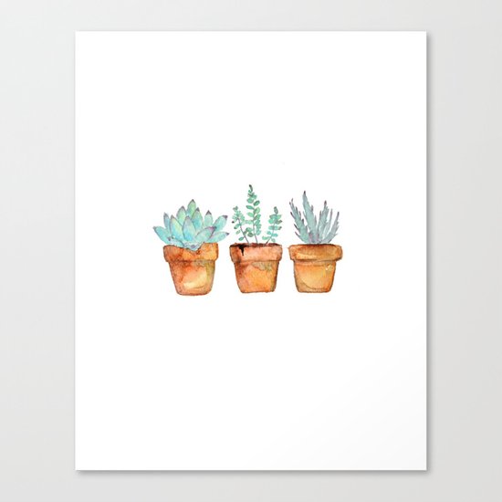 watercolor succulent Canvas Print