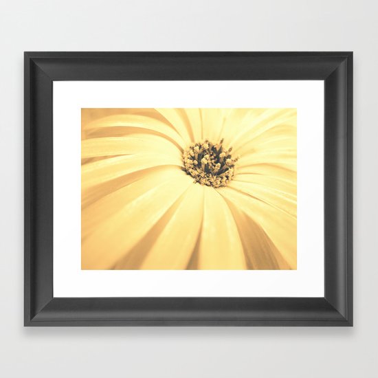 Champagne Petals Framed Art Print