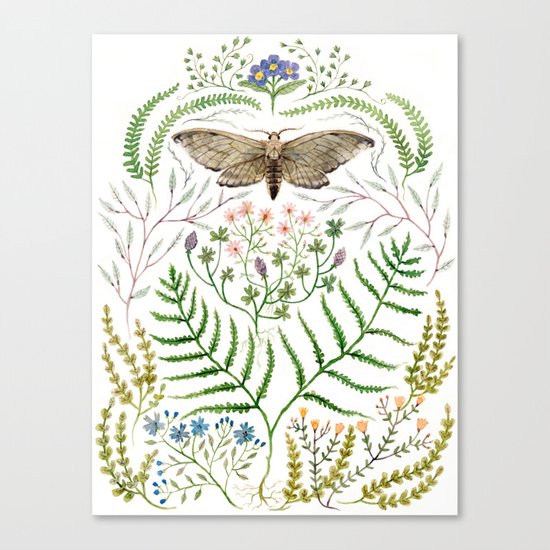 Moth with Plants II Canvas Print