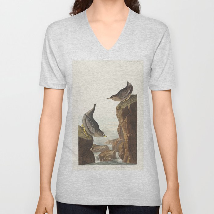 Columbian Water Ouzel and Arctic Water Ouzel from Birds of America (1838) by John James Audubon V Neck T Shirt