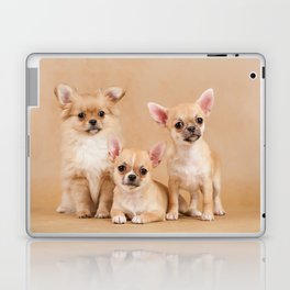 Chihuahua Puppy Cute Portrait Pets Hugfriendship  Laptop Skin