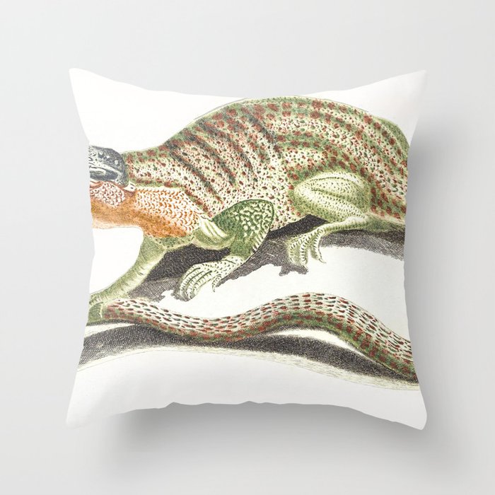 A Lizard  Throw Pillow