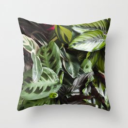 Prayer Plants III  |  The Houseplant Collection Throw Pillow